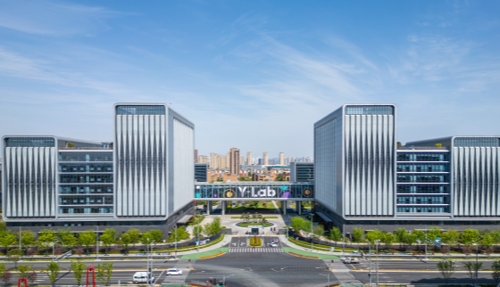 DJI_0220-已增强-降噪_副本_副本.jpg
